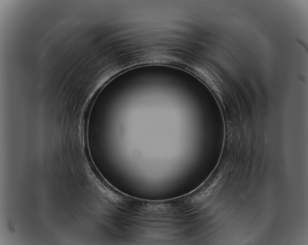 X0000091940843200709191418