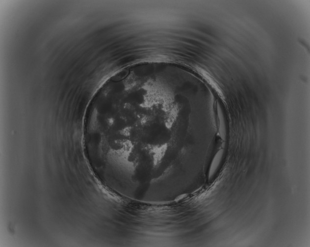 X0000091940845200709191418