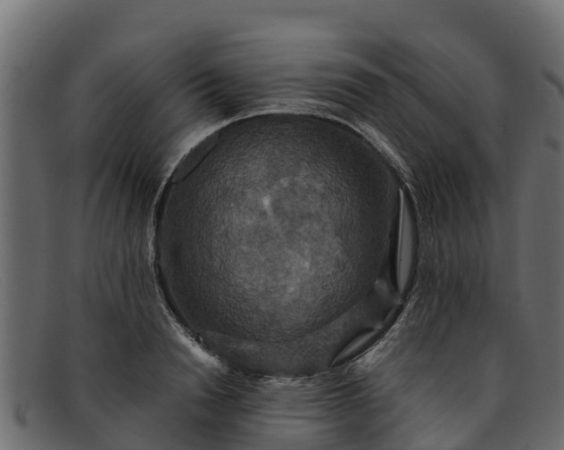 X0000091940846200709191418