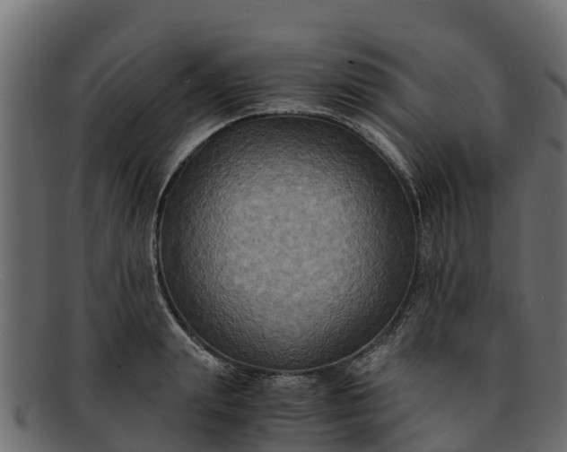 X0000091940847200709191418