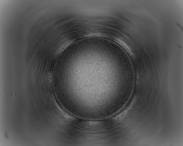 X0000091940849200709191418