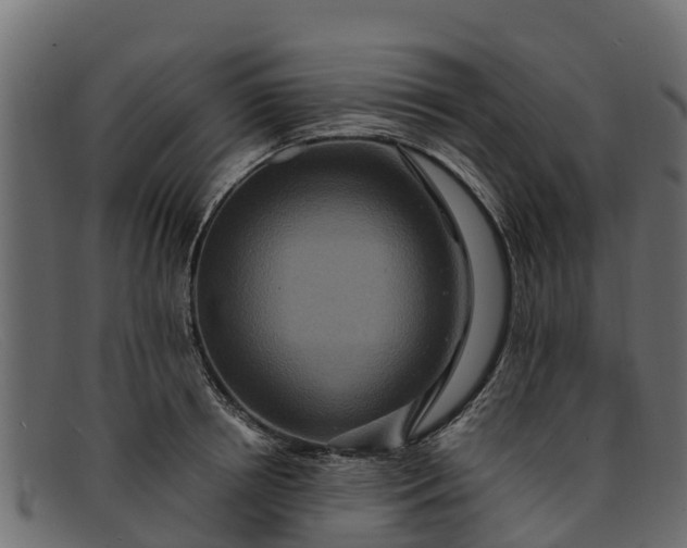 X0000091940850200709191418