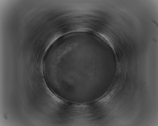 X0000091940851200709191419