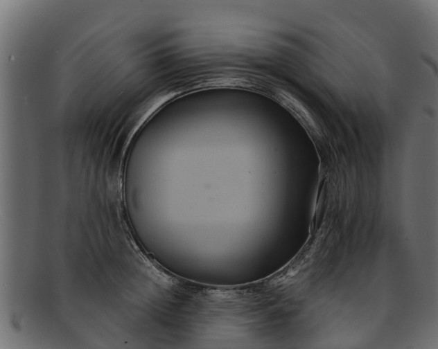 X0000091940852200709191419