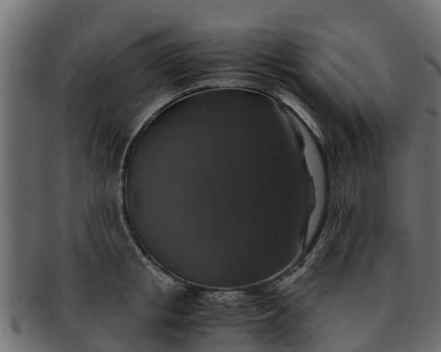 X0000091940853200709191419