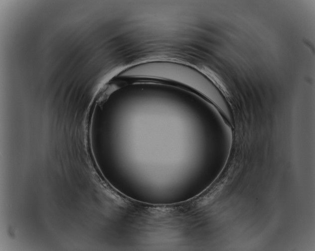 X0000091940854200709191419