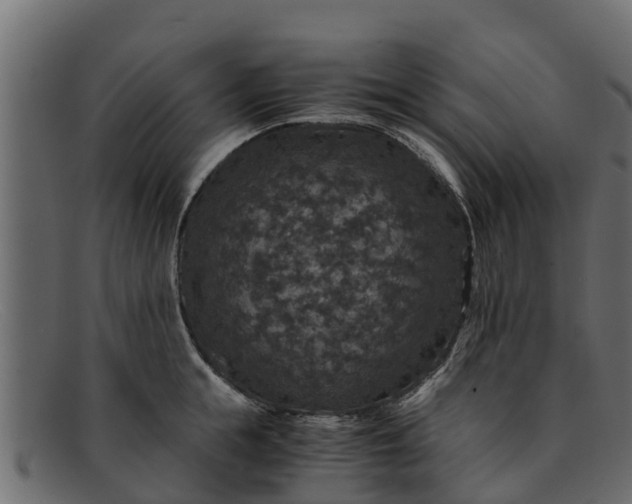 X0000091940855200709191419