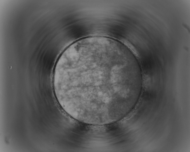 X0000091940856200709191419