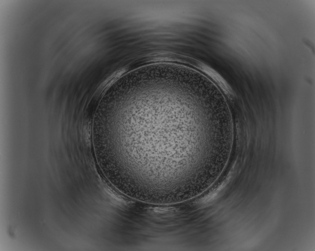 X0000091940857200709191419