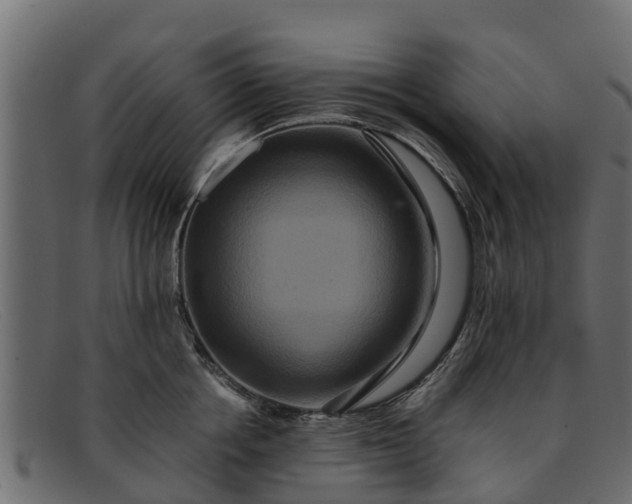 X0000091940858200709191419