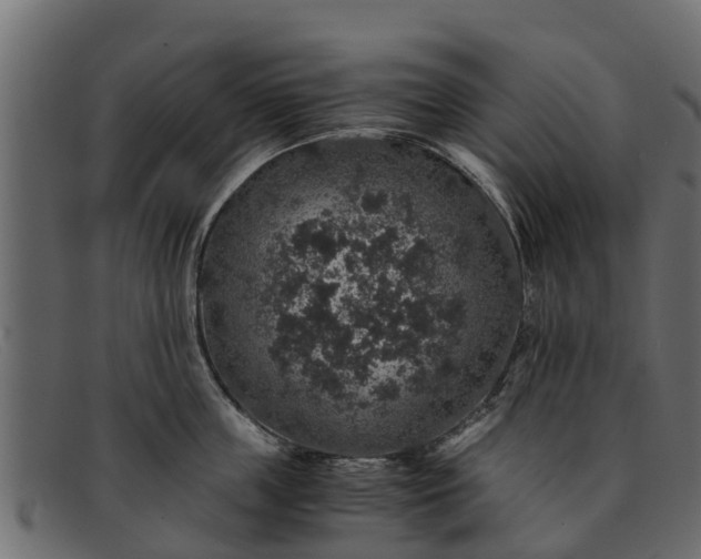 X0000091940859200709191419