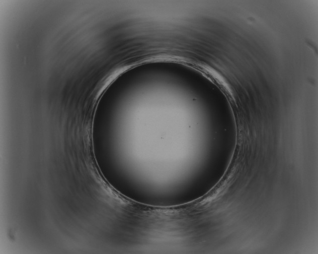 X0000091940860200709191419