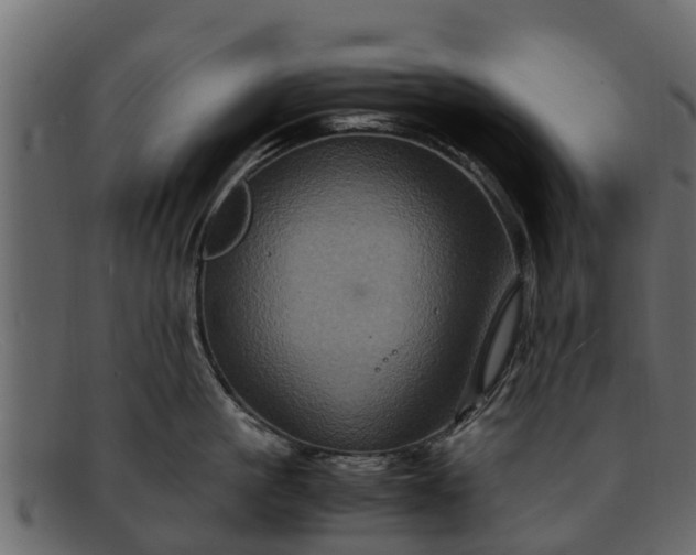 X0000091940861200709191419