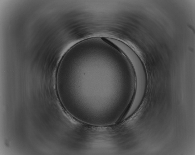 X0000091940862200709191419