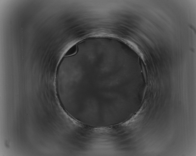 X0000091940863200709191419