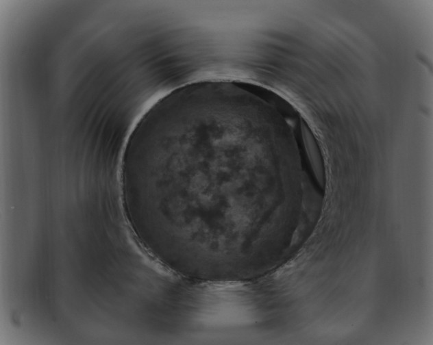 X0000091940864200709191419