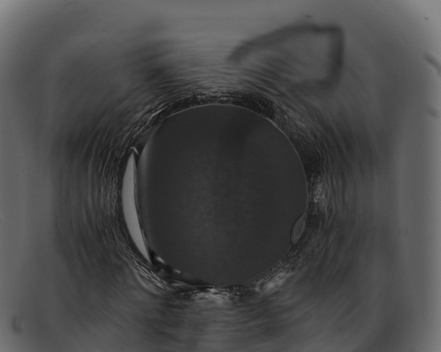 X0000091940868200709191418