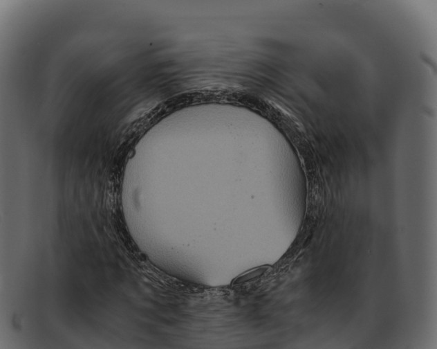 X0000091940869200709191418