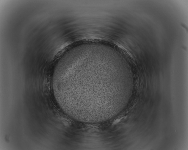 X0000091940870200709191418