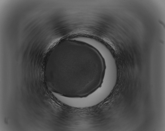 X0000091940872200709191418