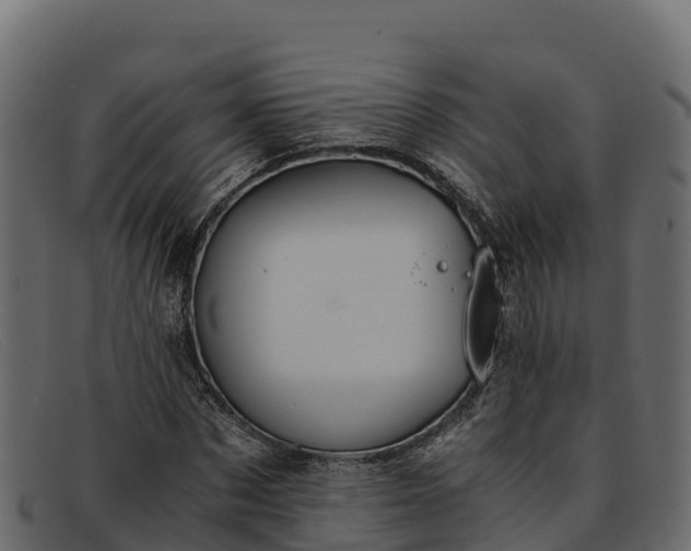 X0000091940873200709191418