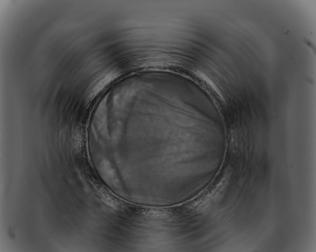 X0000091940874200709191418