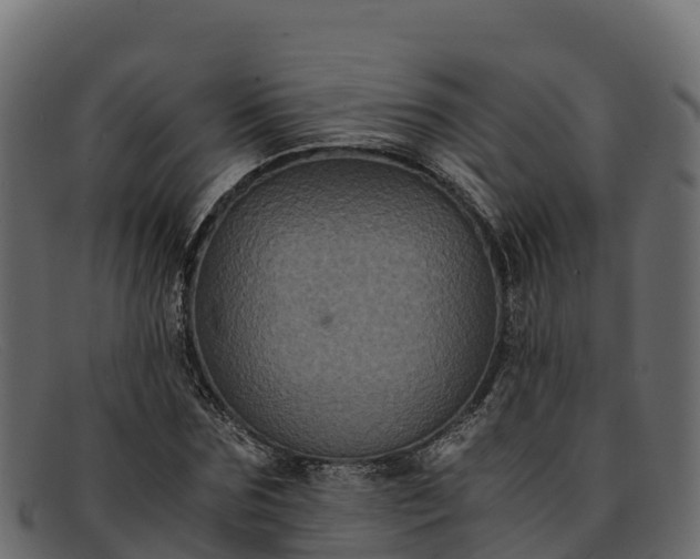 X0000091940875200709191418