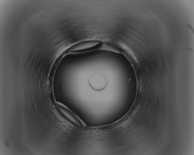 X0000091940876200709191418