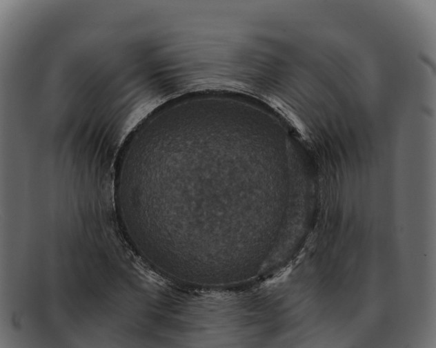 X0000091940877200709191418