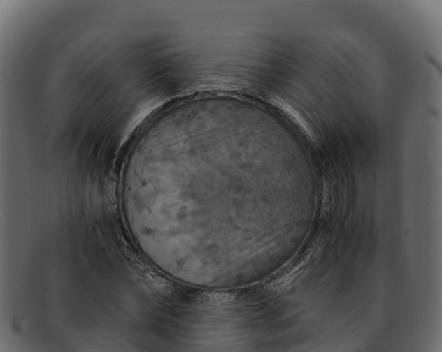 X0000091940878200709191418