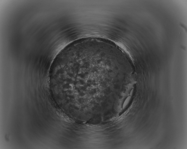 X0000091940879200709191418