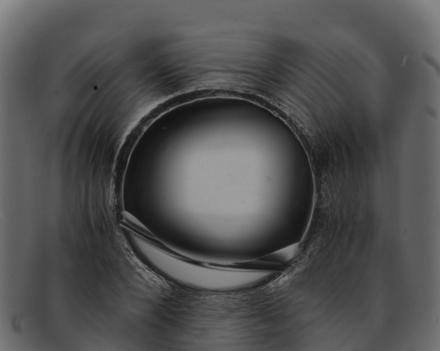 X0000091940880200709191418