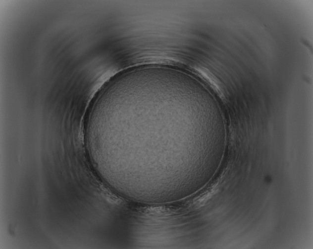 X0000091940883200709191418