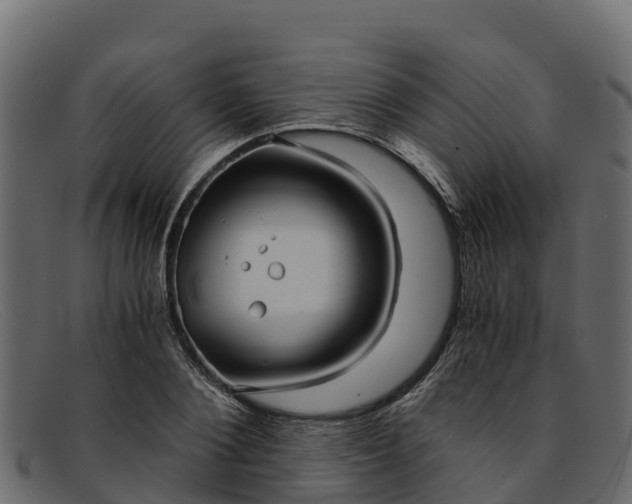 X0000091940884200709191418