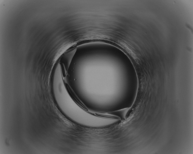 X0000091940885200709191418