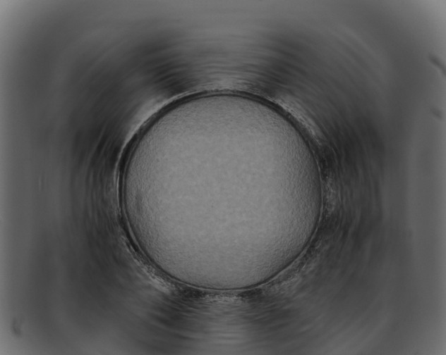 X0000091940886200709191418