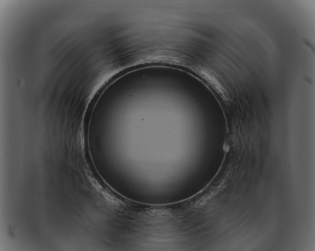 X0000091940888200709191418