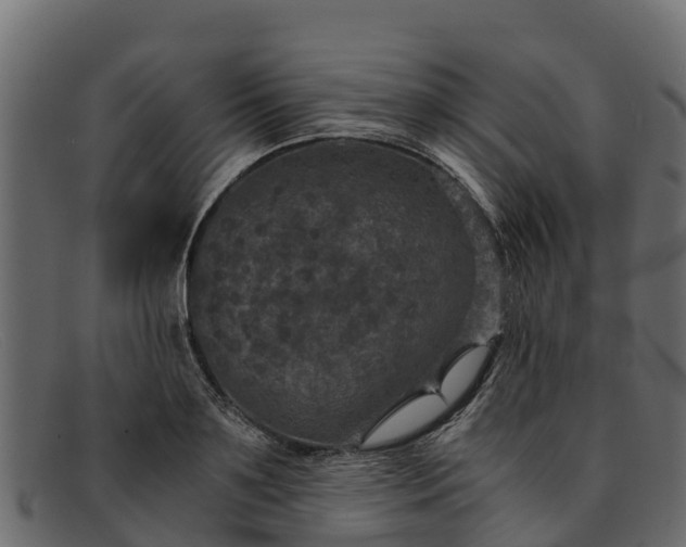 X0000091940891200709191418