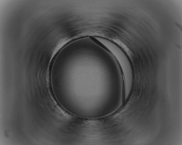 X0000091940894200709191418