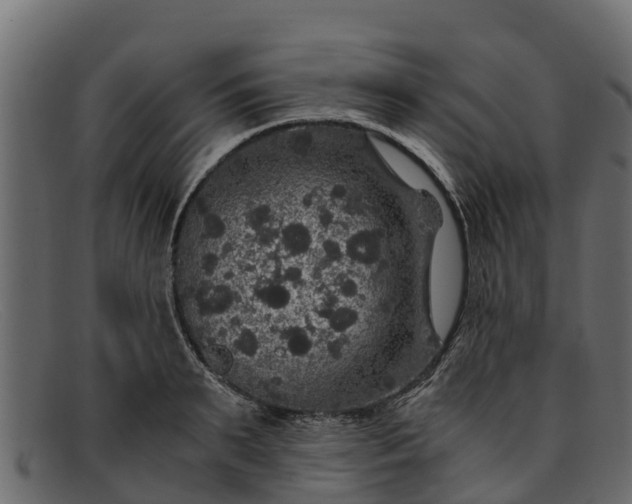 X0000091940895200709191418