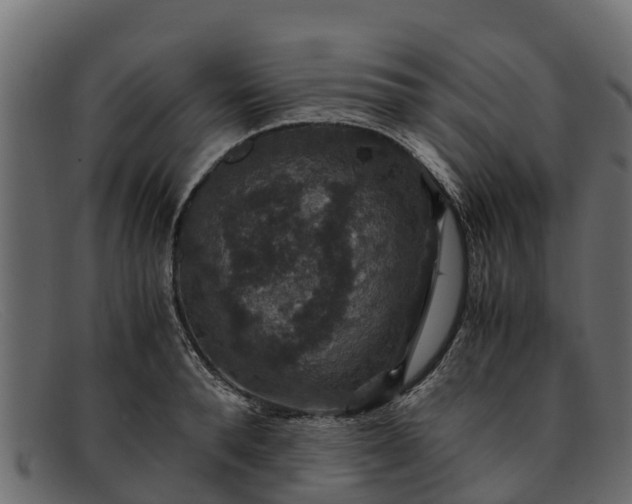 X0000091940896200709191418