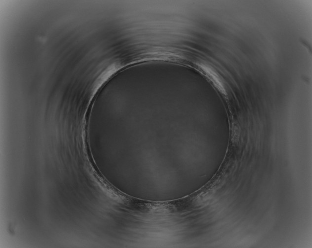 X0000091940899200709191418