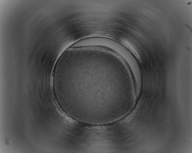 X0000091940900200709191418