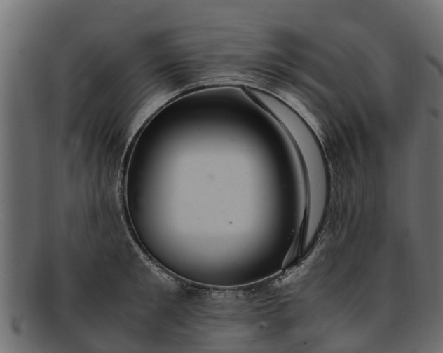 X0000091940901200709191418