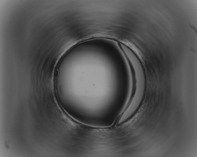 X0000091940902200709191418