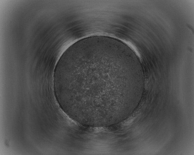 X0000091940903200709191418