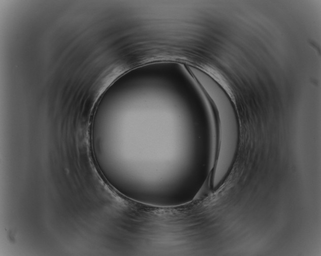 X0000091940906200709191418