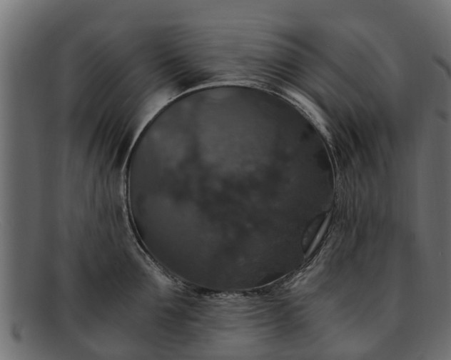 X0000091940907200709191418