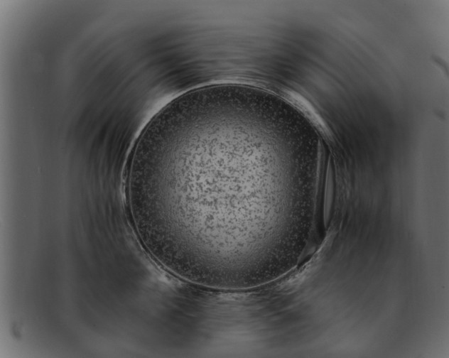 X0000091940908200709191418