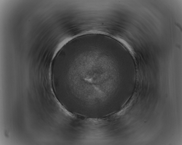 X0000091940910200709191418